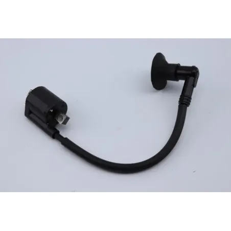 Bobine allumage YAMAHA SLIDER 50 2005 - 2016