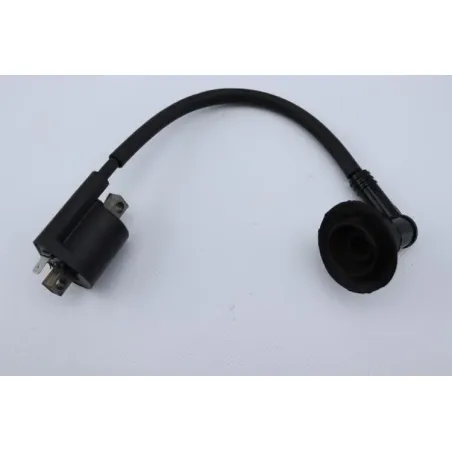 Bobine allumage YAMAHA SLIDER 50 2005 - 2016