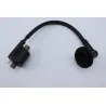 Bobine allumage YAMAHA SLIDER 50 2005 - 2016