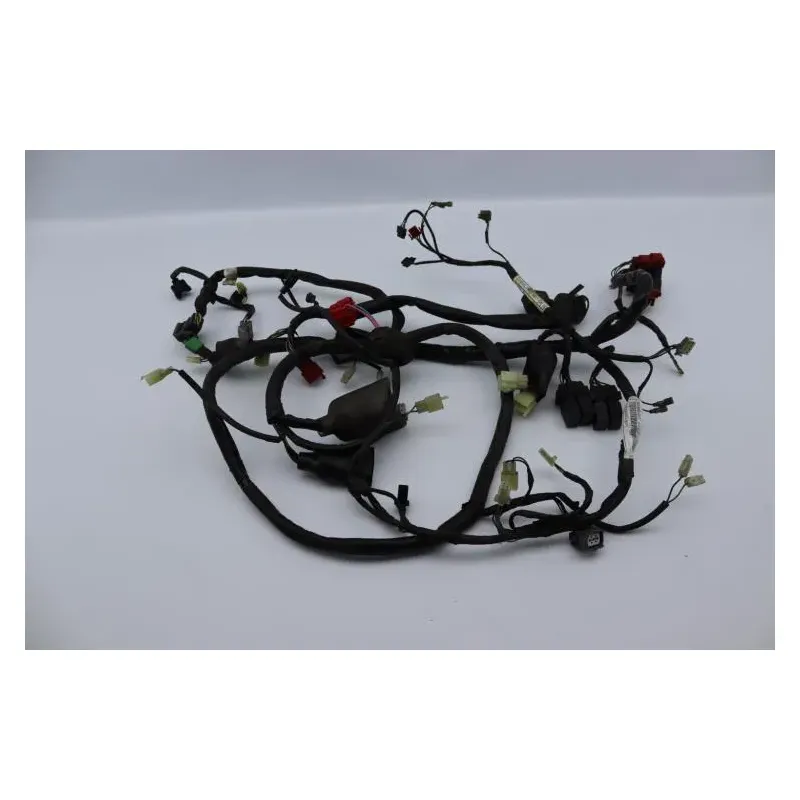 Faisceau electrique HONDA FES 125 PANTHEON 2005 - 2006
