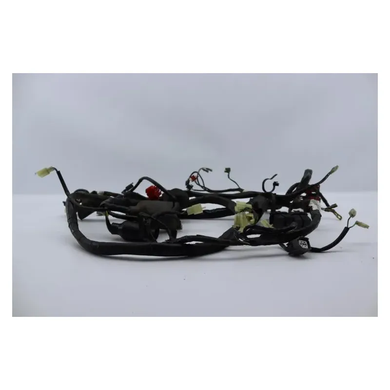 Faisceau electrique HONDA FES 125 PANTHEON 2005 - 2006