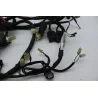 Faisceau electrique HONDA FES 125 PANTHEON 2005 - 2006