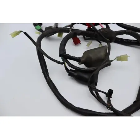 Faisceau electrique HONDA FES 125 PANTHEON 2005 - 2006