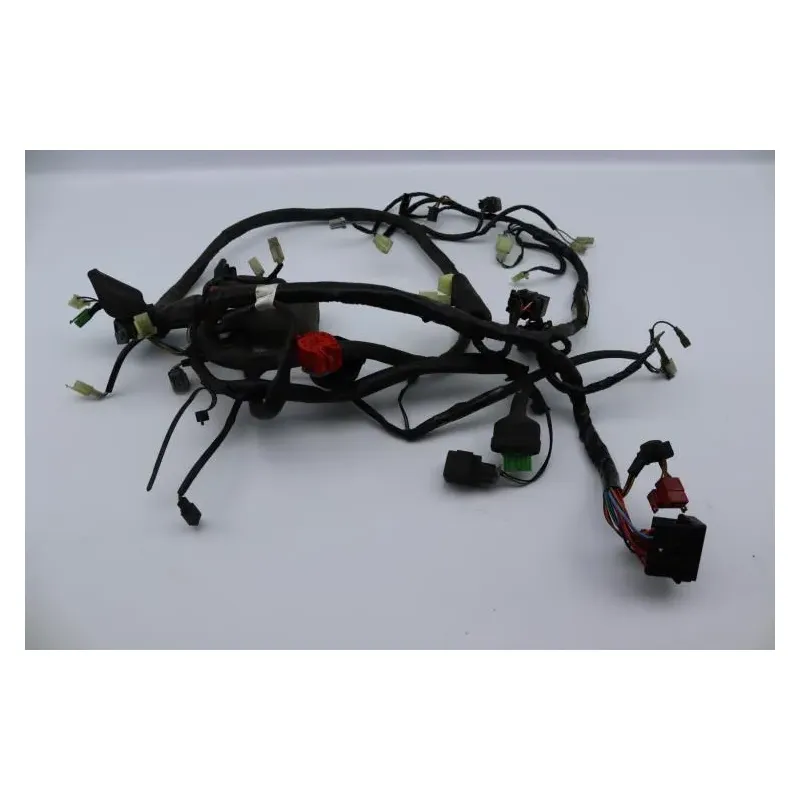 Faisceau electrique HONDA FES 125 PANTHEON 2005 - 2006