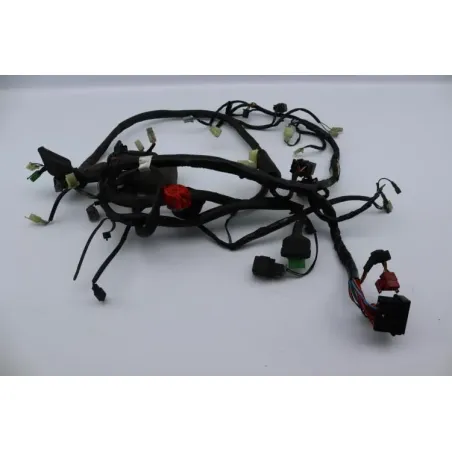 Faisceau electrique HONDA FES 125 PANTHEON 2005 - 2006