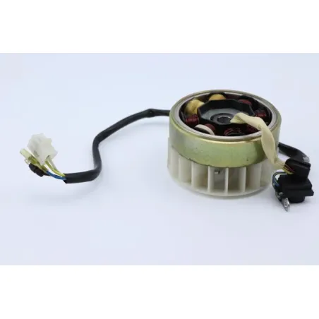 Stator alternateur BAOTIAN BT49QT 50 2009 - 2010