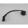Bobine allumage YAMAHA AEROX 50 2013 - 2016 Bobine allumage YAMAHA AEROX 50 2013 - 2016