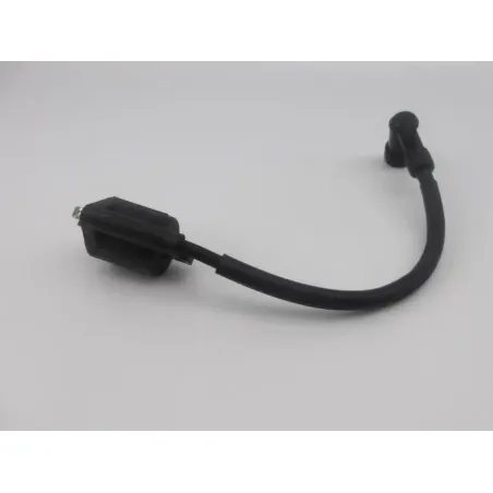 Bobine allumage YAMAHA AEROX 50 2013 - 2016