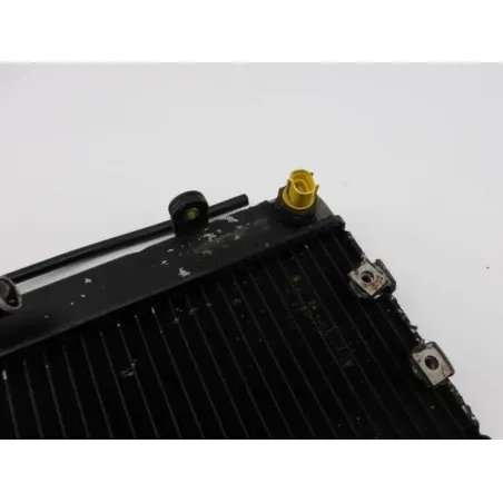 Radiateur eau YAMAHA MAJESTY 250 2000 - 2001