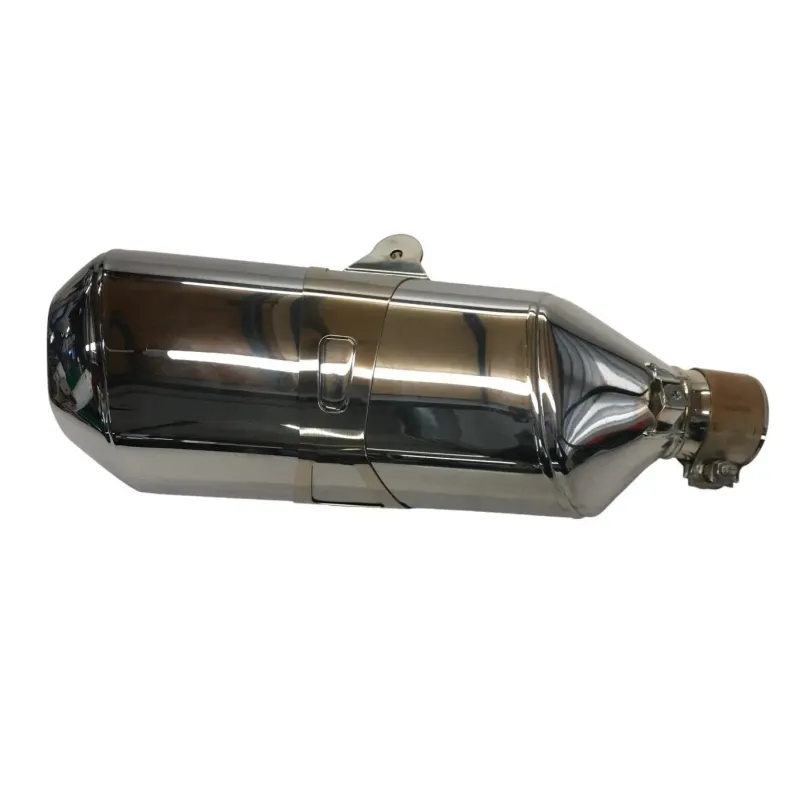 Silencieux (echappement) BMW R 1250 RS 2018-2023 K54