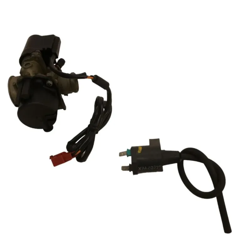 Carburateur PEUGEOT LUDIX 50 2007-2013 ONE 10P