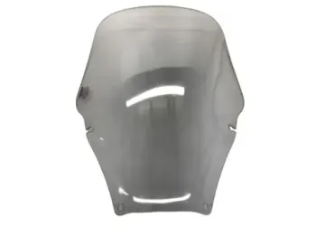 Bulle HONDA NSS 125 2019-2020 FORZA