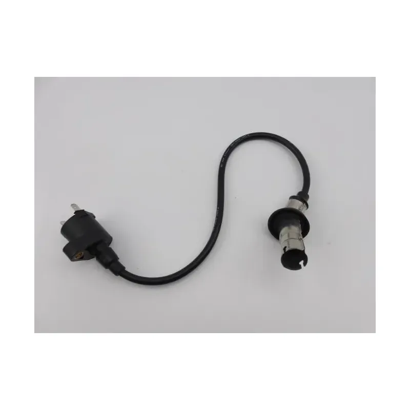 Bobine allumage EUROCKA GTR 50 2011 - 2014