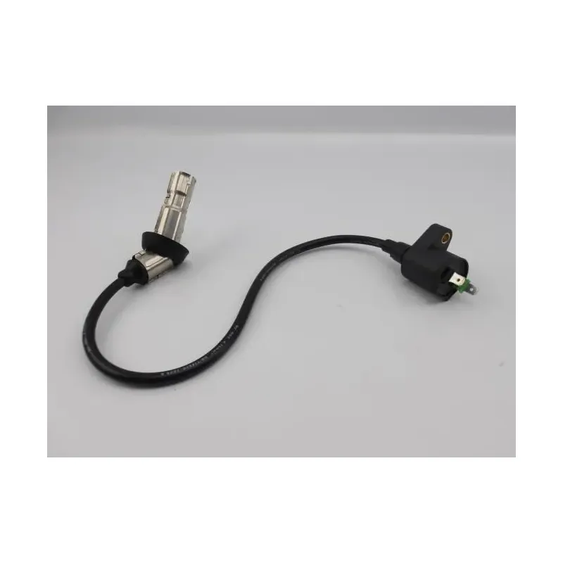 Bobine allumage EUROCKA GTR 50 2011 - 2014