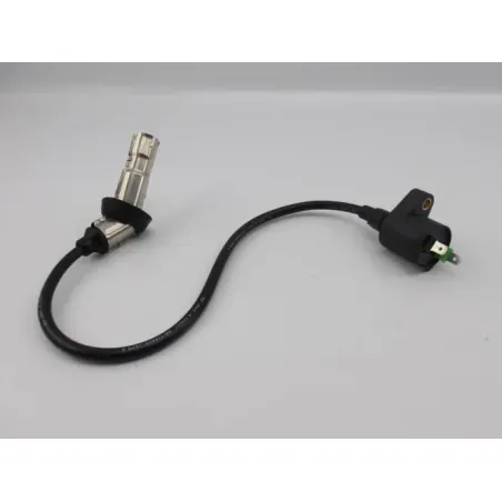 Bobine allumage EUROCKA GTR 50 2011 - 2014