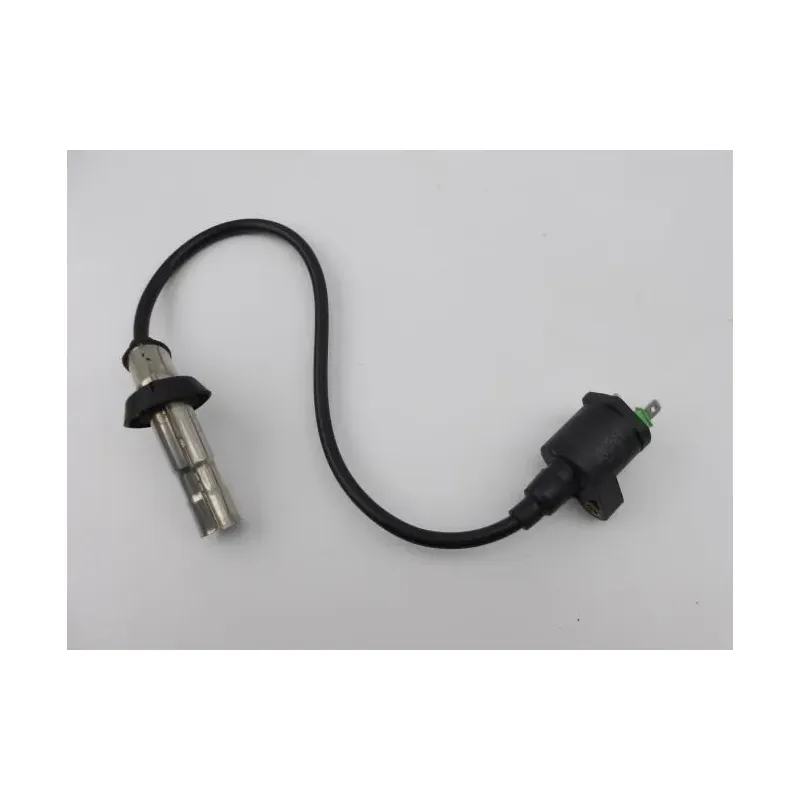 Bobine allumage EUROCKA GTR 50 2011 - 2014