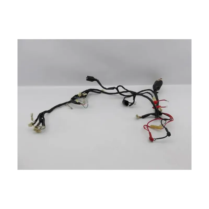 Faisceau electrique EUROCKA GTR 50 2011 - 2014