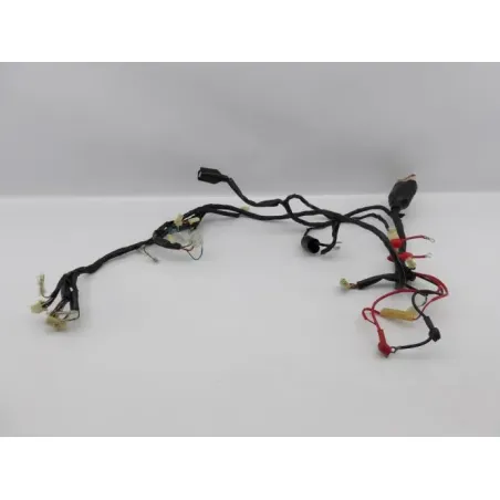 Faisceau electrique EUROCKA GTR 50 2011 - 2014