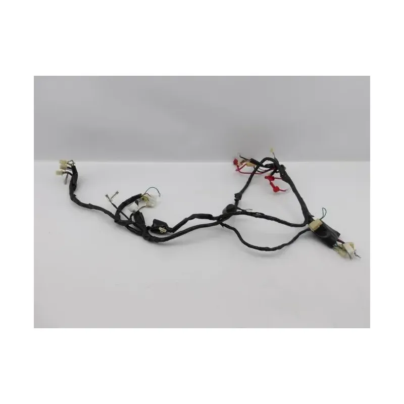 Faisceau electrique EUROCKA GTR 50 2011 - 2014