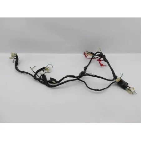 Faisceau electrique EUROCKA GTR 50 2011 - 2014