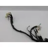 Faisceau electrique EUROCKA GTR 50 2011 - 2014