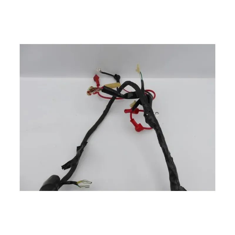 Faisceau electrique EUROCKA GTR 50 2011 - 2014