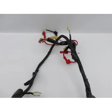 Faisceau electrique EUROCKA GTR 50 2011 - 2014