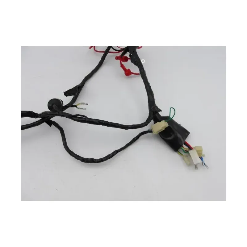 Faisceau electrique EUROCKA GTR 50 2011 - 2014