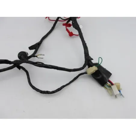 Faisceau electrique EUROCKA GTR 50 2011 - 2014