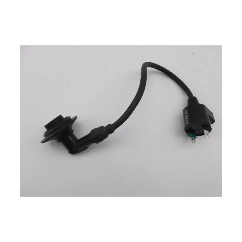 Bobine allumage PEUGEOT VIVACITY 50 1998 - 2007
