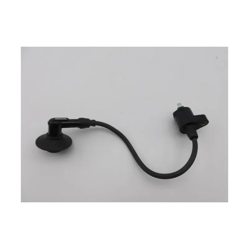 Bobine allumage PEUGEOT VIVACITY 50 1998 - 2007