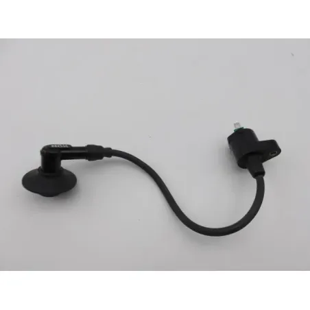Bobine allumage PEUGEOT VIVACITY 50 1998 - 2007