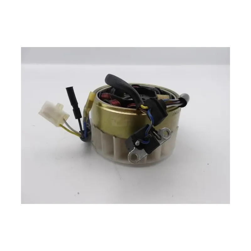 Rotor volant moteur QING RUSSEL 50 2011 - 2014