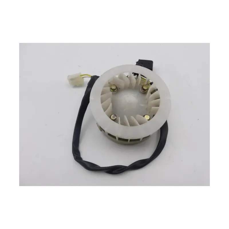 Rotor volant moteur QING RUSSEL 50 2011 - 2014