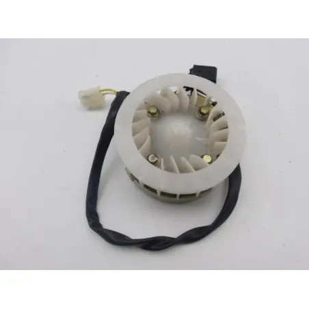 Rotor volant moteur QING RUSSEL 50 2011 - 2014