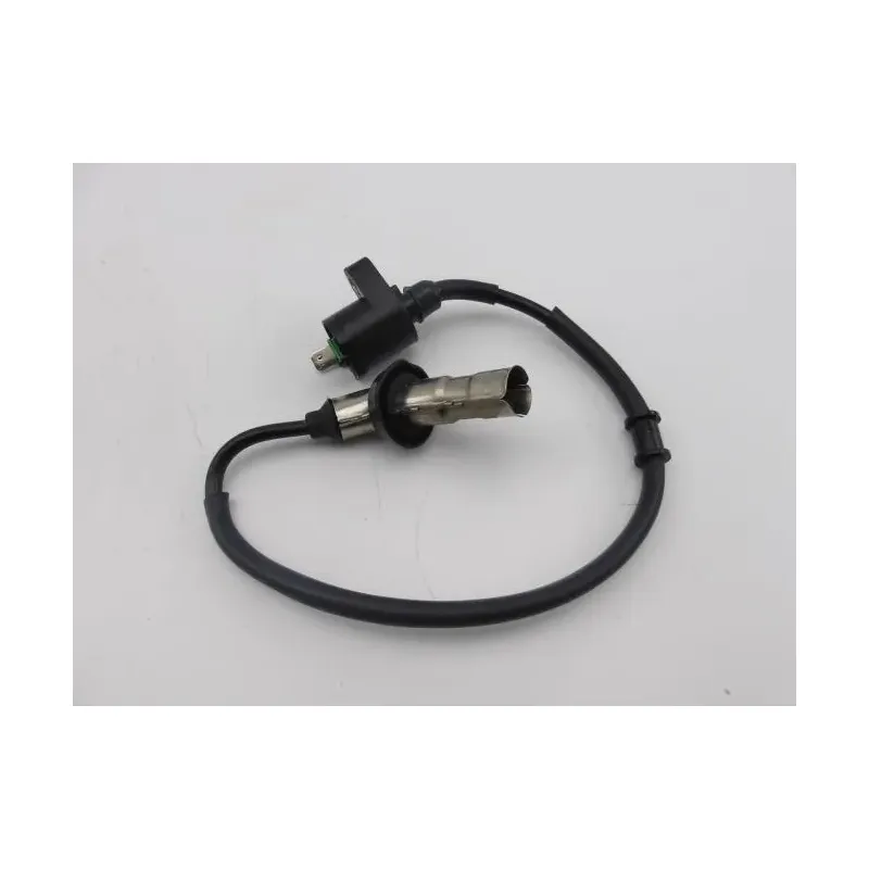 Bobine allumage QING RUSSEL 50 2011 - 2014