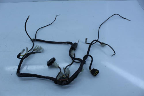 Faisceau electrique RIEJU 50 MRT 2015 - 2016