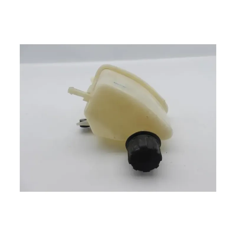 Vase expansion PIAGGIO HEXAGON LX 125 1998 - 1999