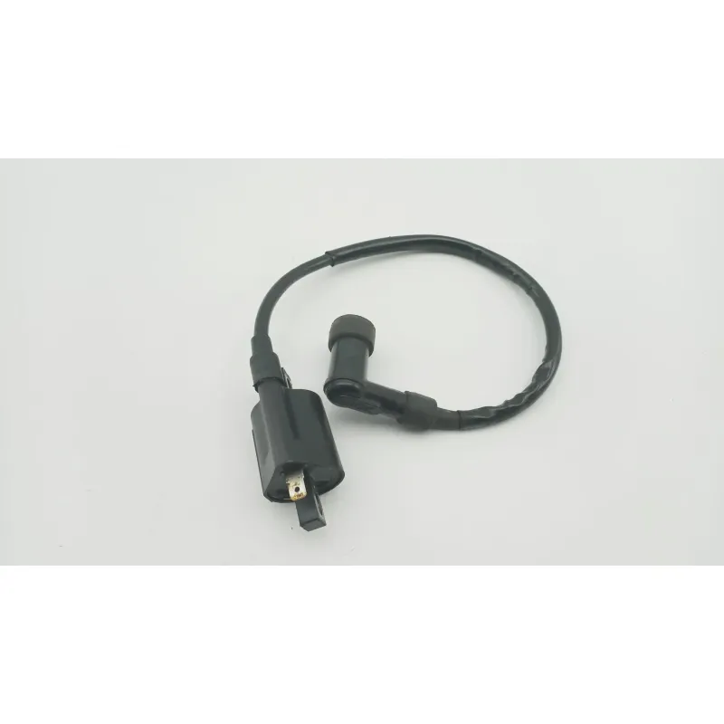 Bobine allumage YAMAHA SLIDER 50 EW 2000 - 2002