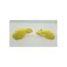 Protege main DIRT BIKE ENDURO 125 SANO RXF 2024 - 2024 Protege main DIRT BIKE ENDURO 125 SANO RXF 2024 - 2024