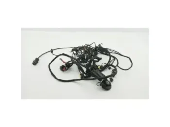 Faisceau electrique BMW C EVOLUTION 2013 - 2020