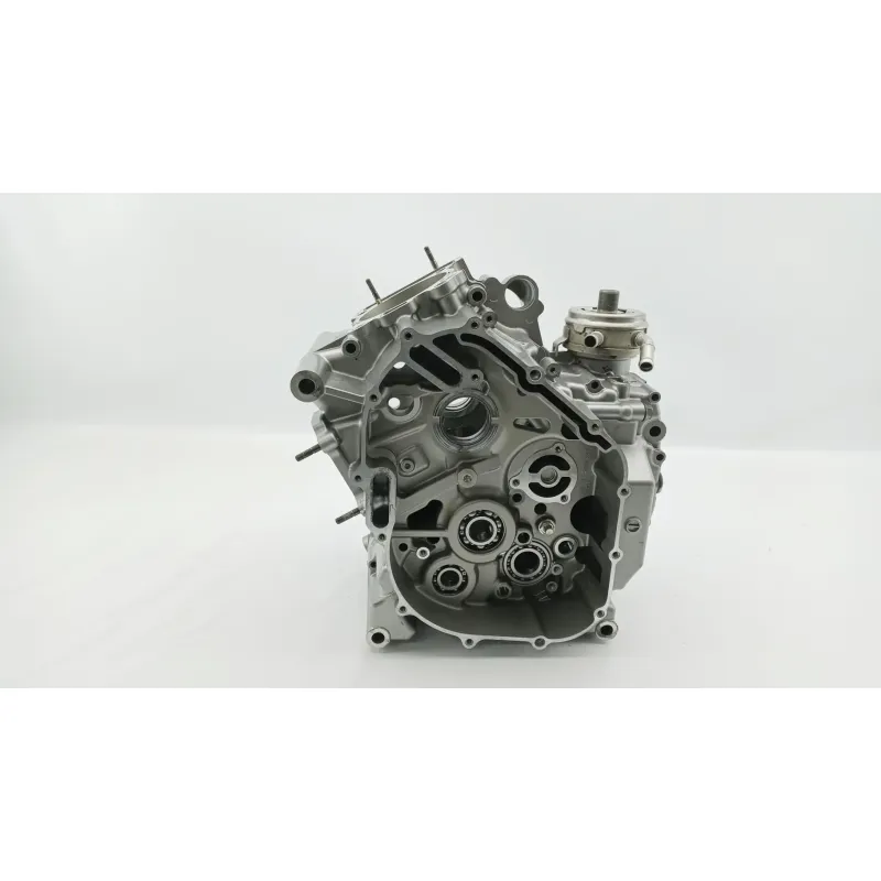 Carter moteur SUZUKI SFV 650 GLADIUS 2009 - 2015