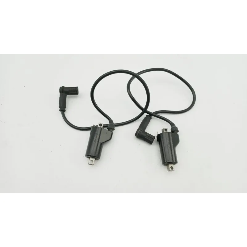 Bobine allumage DUCATI MONSTER 750 1996 - 2002