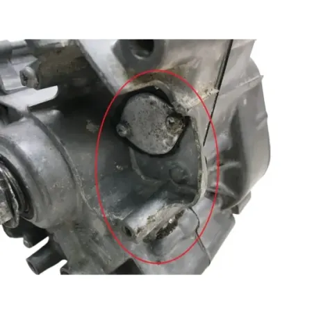 Carter moteur SUZUKI RL 250 1974-1975