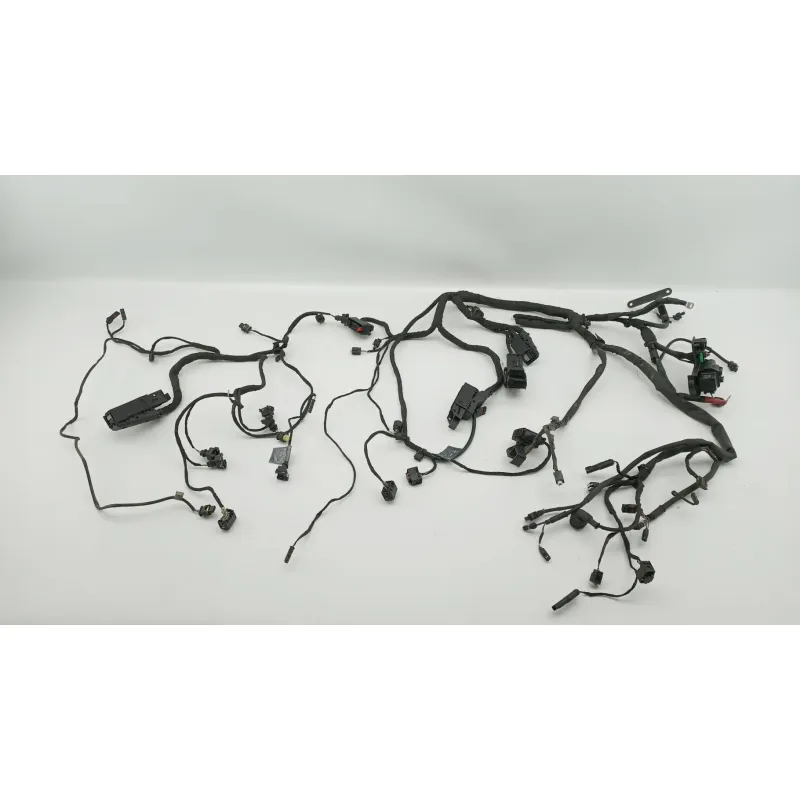 Faisceau electrique BMW F 800 R 2017 - 2019