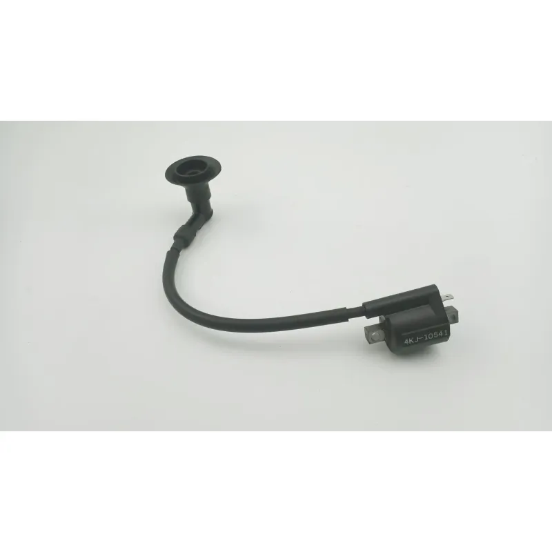 Bobine allumage YAMAHA CW 50 BWS 2013 - 2018