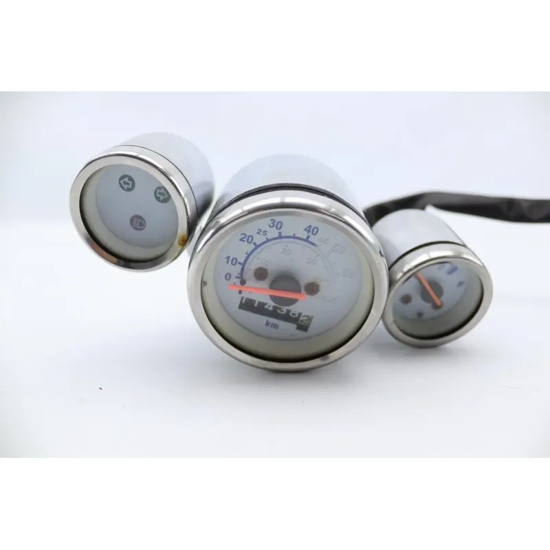 Compteur EUROCKA OLDIES 50 2013 - 2016
