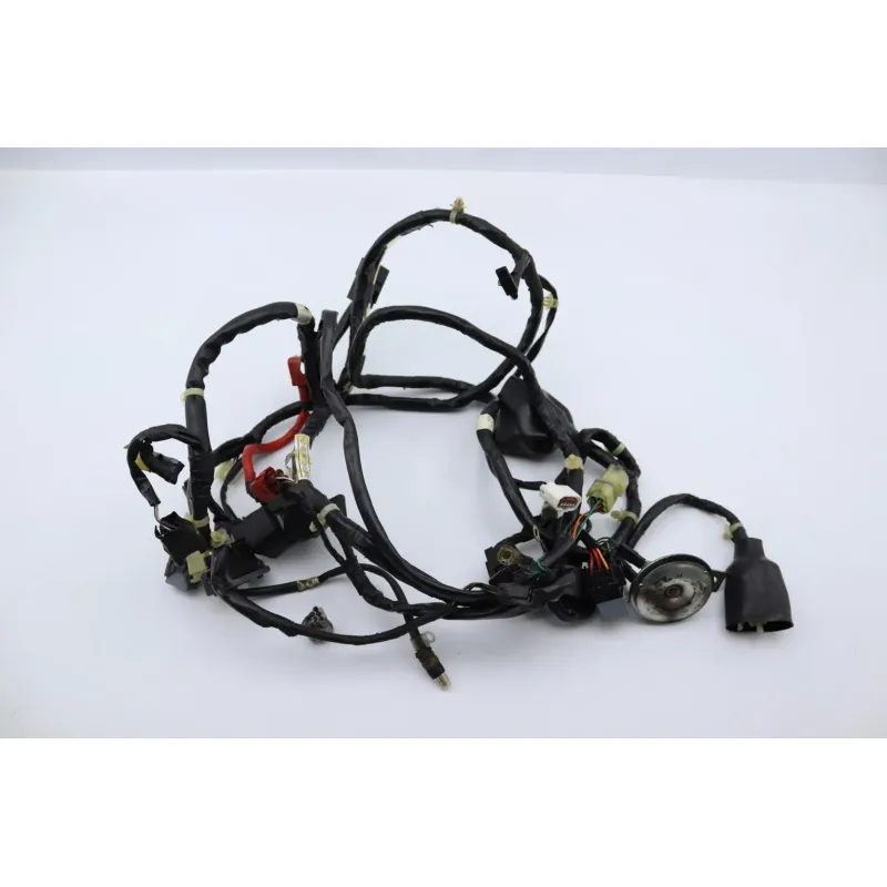 Faisceau electrique HONDA SH 125 2009 - 2012