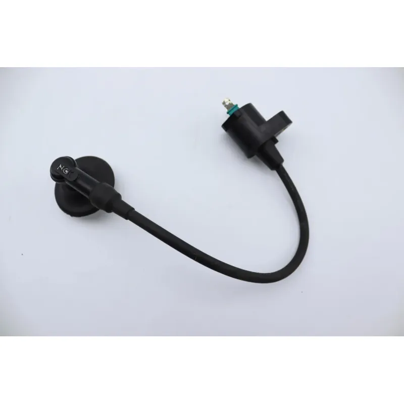 Bobine allumage PEUGEOT VIVACITY 125 2006 - 2009