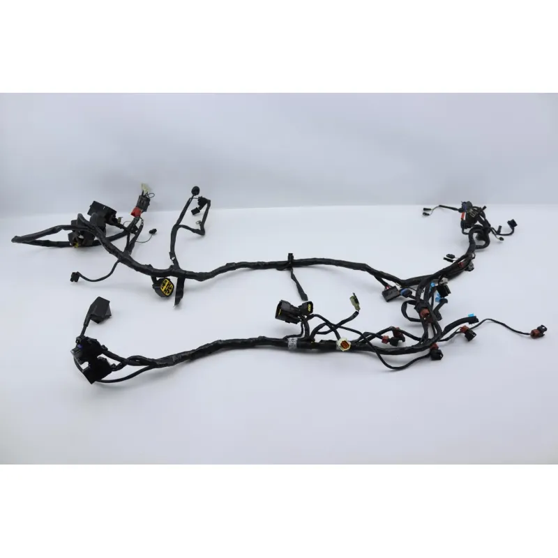 Faisceau electrique TRIUMPH SPRINT 955 RS 2000 - 2003